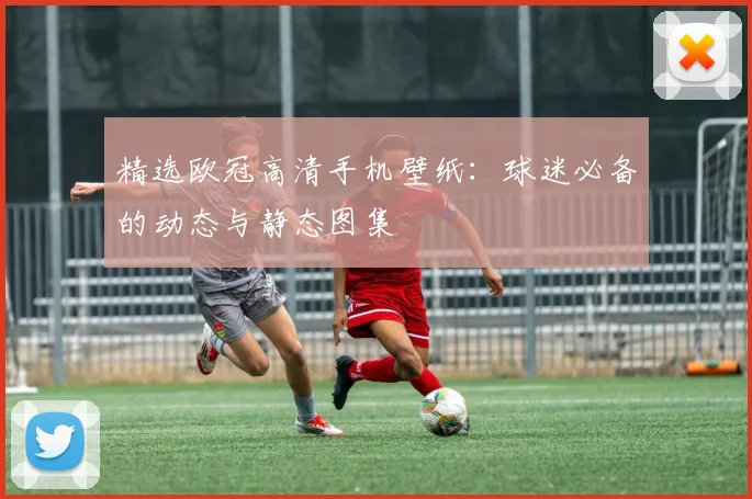 精选欧冠高清手机壁纸：球迷必备的动态与静态图集