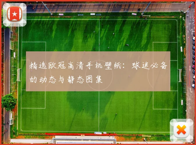 精选欧冠高清手机壁纸:球迷必备的动态与静态图集