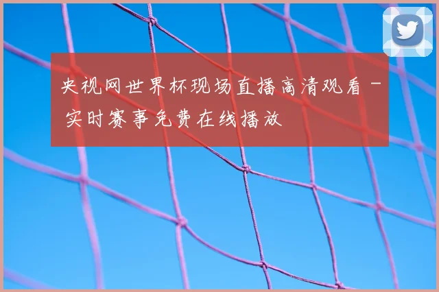央视网世界杯现场直播高清观看 - 实时赛事免费在线播放