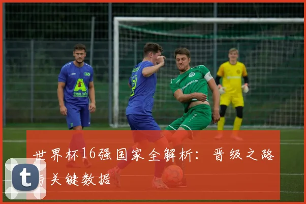世界杯16强国家全解析:晋级之路与关键数据