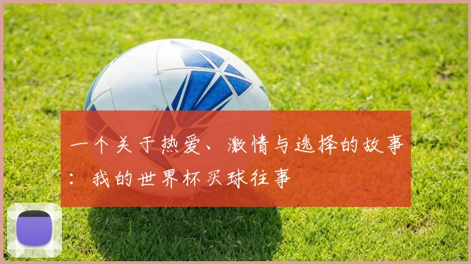 一个关于热爱、激情与选择的故事：我的世界杯买球往事