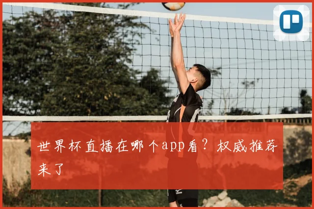 世界杯直播在哪个app看?权威推荐来了
