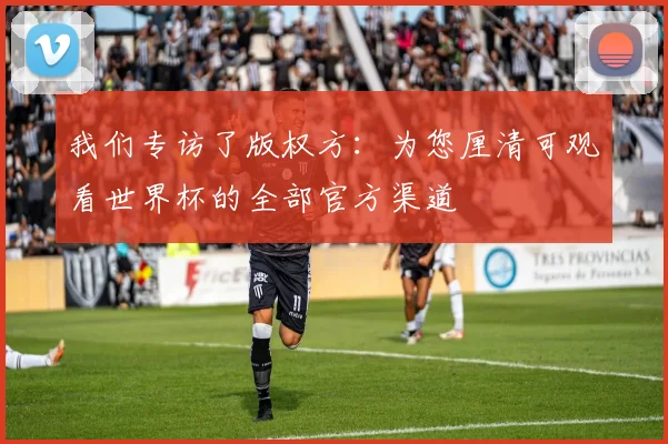 我们专访了版权方:为您厘清可观看世界杯的全部官方渠道